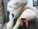 Aerosmith 