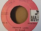 Promise Land Dennis Brown 7inch Deb Label Near Mint Condition 1978