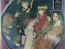 TLC WATERFALLS PICTURE DISC 12” SEALED RAREST RSD 2020 LIMITED R&B USA SOUL FUNK