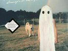 Phoebe Bridgers Stranger In The Alps BLACK Vinyl LP 1st Pressing Free Shipping