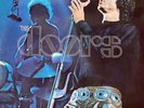 THE DOORS ABSOLUTELY LIVE -  2 LP MINT