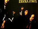 The Black Crowes ?- Shake Your Money Maker LP - 180 Gram Vinyl Album NEW Record