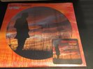 Richard Hawley Further 12” Picture Disc Vinyl New/Sealed + coaster