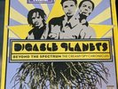 digable planets-beyond The Spectrum LP Vinyl