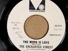The Enchanted Forest VARIATIONS WHITE LABEL PROMO VG+ 