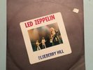 Led Zeppelin LIVE On Blueberry Hill DOUBLE LP Colored Vinyl