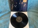 The Black Crowes - Shake Your Money Maker  Vinyl Record   US-1958