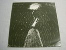 Virginia Astley ?– Promise Nothing LP VG++