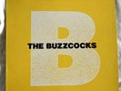Buzzcocks - Peel Sessions - Vinyl LP