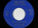 Crossover Soul 45 - Perfections - Girl You Better Hurry - Tri-City - mp3