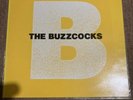 Buzzcocks - Peel Sessions LP On Strange Fruit Label