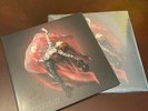 Lindsey Stirling - BRAVE ENOUGH Signed Vinyl Record (Excellent condition)