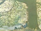 YOKO ONO / PLASTIC ONO BAND - 12