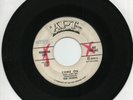 The Fawns  Come on / Until I Die   Original Doo Wop Promo  45