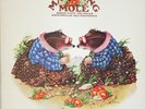 Vinyle 33t Matching Mole (1972 - CBS)
