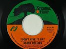 70s Soul 45 - Blood Hollins - Don't Give It Up - Strange Fruit - VG++ mp3