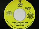 70s Soul 45 - Jimmie Delphs - Do You Know What I Mean - D.S.S.I. Mano - VG+ mp3