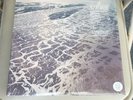 Fleet Foxes Shore 2LP Crystal Clear Vinyl Indie Exclusive New/Sealed