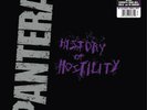 Pantera: History Of Hostility Purple Vinyl LP. Far Beyond Driven. Vulgar Display
