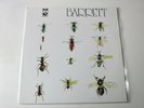 SYD BARRETT - PINK FLOYD - Vinyl LP Disc RARE