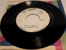 THE BURNING SPEAR WHAT A HAPPY DAY DISCO JETS VERSION REGGAE 45 COXSONE CS.00098