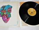 Love Da capo EKL-4005 mono & Forever Changes EKS-74013 stereo LP’s Elektra label