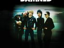 The Damned - Punk Oddities & Rare Tracks 1977-1982 (Colored Vinyl)