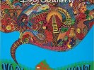 Big Country - No Place Like Home (LP, Album)