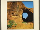 VARIOUS: the bridge-tribute to neil young CAROLINE 12