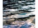SURFACE TENSION
