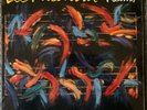 LEE RITENOUR Festival GRP GR-9570 JAZZ/FUNK/FUSION Mint SEALED  1988 Digital LP
