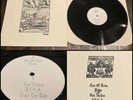 FUCKED UP Bruises LP Vinyl Screened Sleeve 100-HC punk no warning career suicide