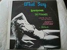WHAT SURF THE SURF RAIDERS, DAVIE ALLAN AND THE ARROWS VINYL LP ALBUM 1983 EX