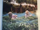 2002-SONIC YOUTH - MURRAY STREET - LP VINYL GOO-4 GATE EX/EX NIRVANA GRUNGE