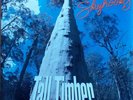 Skyhooks - Tall Timber / Tall Timber (Instrumental).1990  Aussie Promo 7