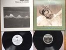 2 Records By Robbie Basho, Visions of the Country, and Song Of The Avatars