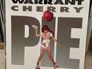 WARRANT 