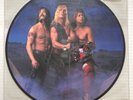 SPINAL TAP Break Like The Wind 1992 US ORG PICTURE DISC LP McKean GUEST Shearer