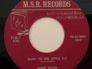 BOBBI BLAKE Goin' to Die, Little Fly M.S.R. Weird Bizarre Song Poem 45 HEAR