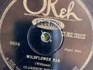 Okeh 8604 CLARENCE WILLIAMS  Wildflower Rag  78 rpm 1928 Jazz VV+/V+