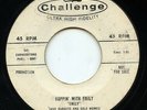 HEAR- Rare Rock n Roll Tittyshaker/ Novelty 45- Dave Burgess- Hoppin' With Emily