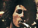 Bob Marley And The Wailers ?– Catch A Fire Remastered 180g  Vinyl LP  New Sealed