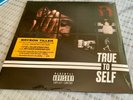 True to Self by Bryson Tiller (Vinyl, Nov-2017, 2 Discs, Trapsoul)