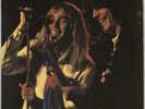 Cheap Trick vinyl LP album record At The Budokan - Yellow Vinyl + Booklet UK