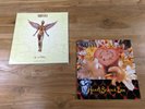 Nirvana - In Utero 1993 Clear Vinyl LP - Heart-Shaped Box single - Never Played