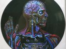 Tool - Lateralis (PROMO) Vinyl Picture Disc SUPER RARE VG+