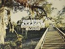 Gregg Allman - Southern Blood