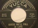 Teen Rocker 45/ Bobby Fuller 