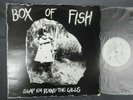 BOX OF FISH 