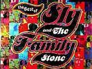 Sly & The Family Stone - The Best Of Sly And The Family Stone (2LP)